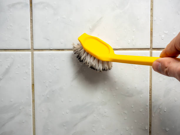 Trusted Discovery Harbour, HI Mold Removal Experts