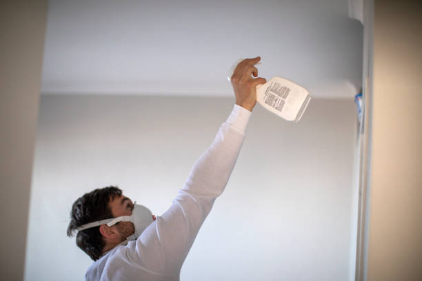 Best Toxic Mold Removal  in Discovery Harbour, HI