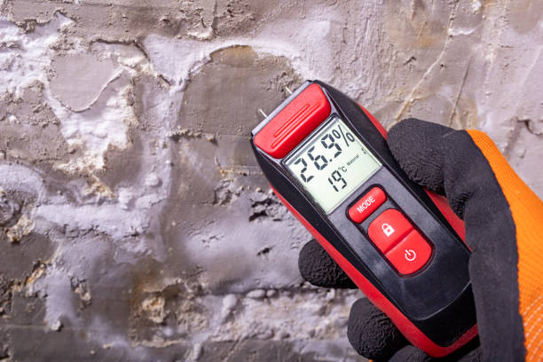 Best Mold Testing  in Discovery Harbour, HI