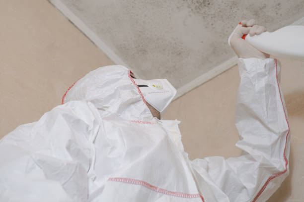 Best Home Mold Removal  in Discovery Harbour, HI