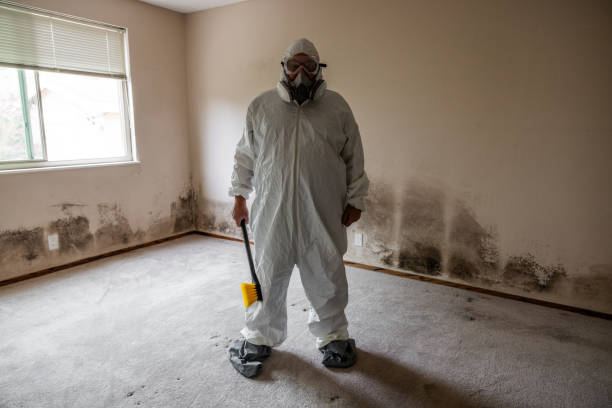 Best Mold Cleaning Services  in Discovery Harbour, HI